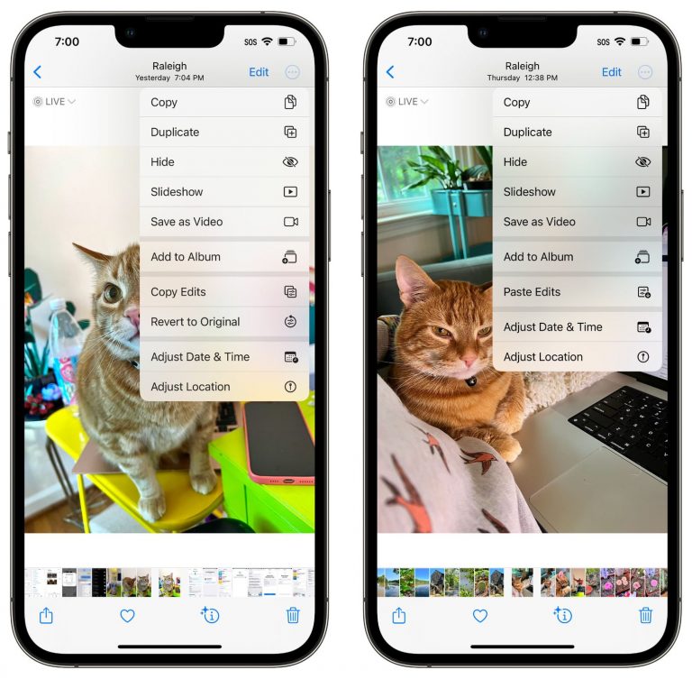 iOS 16 Brings Copy And Paste Feature To Photos App